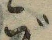 位置 確認된 ご