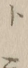 字ト