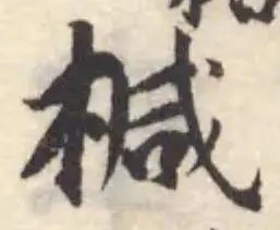椷の位置