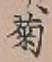 글자 菊