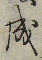 位置 確認된 成