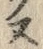 文字ガ