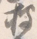 已定位披