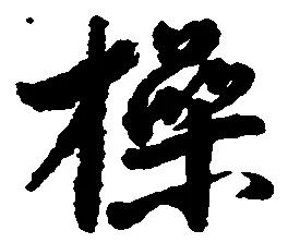 Đã định vị 操