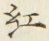 字紅