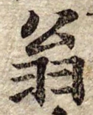 翁 위치 확인됨