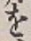 글자 を