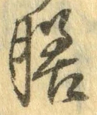 膳 위치 확인됨