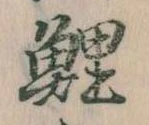 鯉の位置