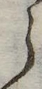 𛃰 위치 확인됨