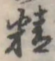 精 위치 확인됨