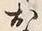 글자 お