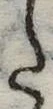 𛁠 위치 확인됨