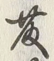 글자 藤