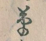 草 위치 확인됨