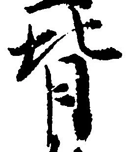 背 위치 확인됨