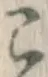 文字こ