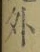 글자 外