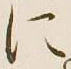 Character に