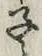 글자 子
