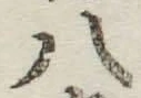 글자 八