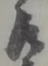 左 위치 확인됨