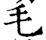 글자 毛
