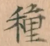 글자 種