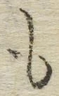 글자 も