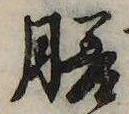 膳 위치 확인됨