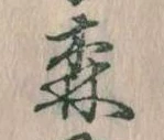 森 위치 확인됨