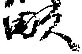 已定位畝