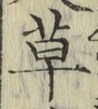 字草