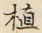 글자 植