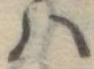 𛂞の位置