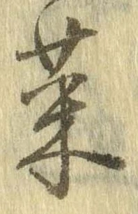 已定位菜