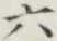 글자 六
