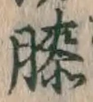 Chữ 膝