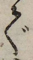 㐌定位で
