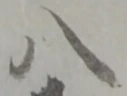 글자 八