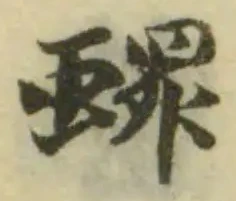 蠉の位置