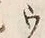 글자 ウ