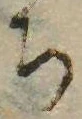 㐌定位𣗓檊