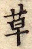 位置定マレル草