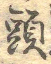 已定位頭