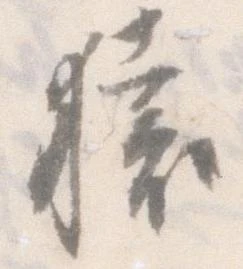 猿 위치 확인됨