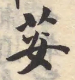 荌 위치 확인됨