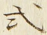 字式