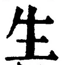 字生