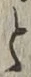 文字と